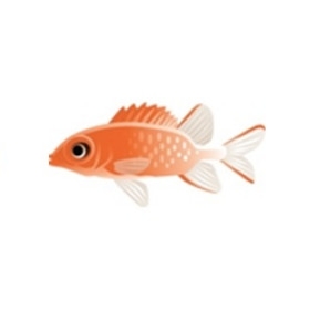 Pumpkin Soldierfish